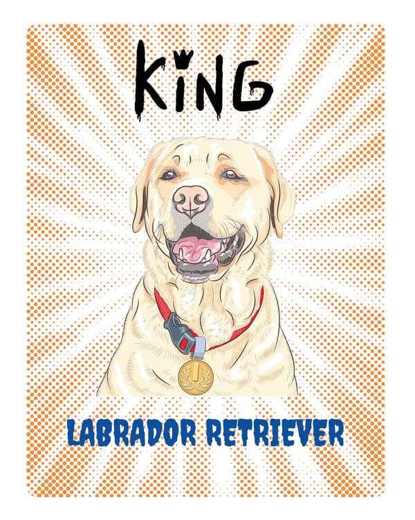 KONGE LABRADOR RETRIVER TALLERKEN - 20x28 cm