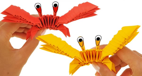 3D Origami. Hak