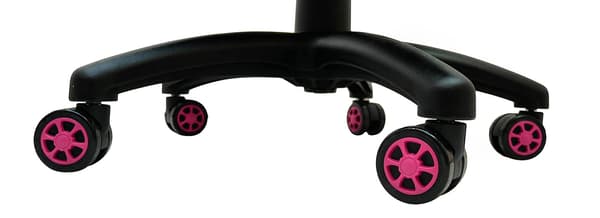Rosa EX