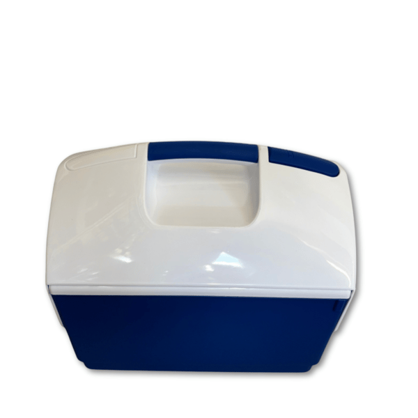 Bärbart kylskåp, 10 liters kylbox