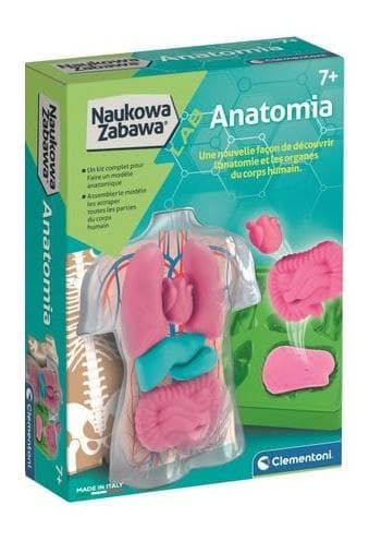 Vetenskapskul. Anatomi.