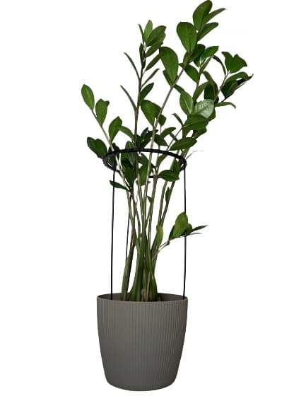 Støttering til blomsterplanter Klemme til støttering M 33x16cm