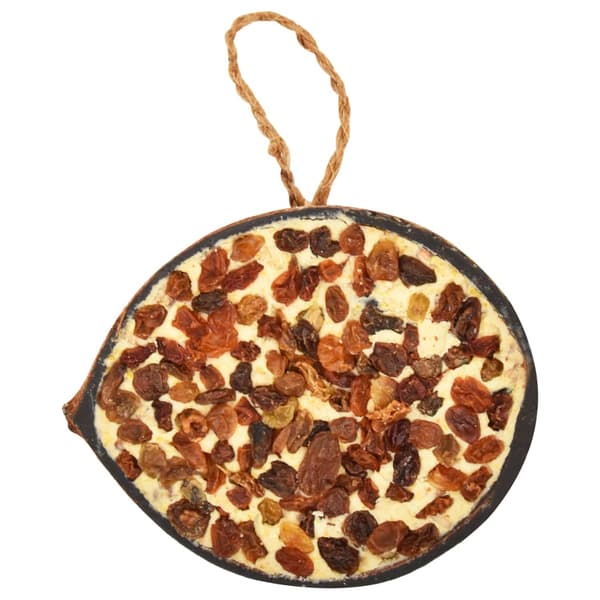 vidaXL fuglefoder i kokoshalvdele, 10 stk., 290 g
