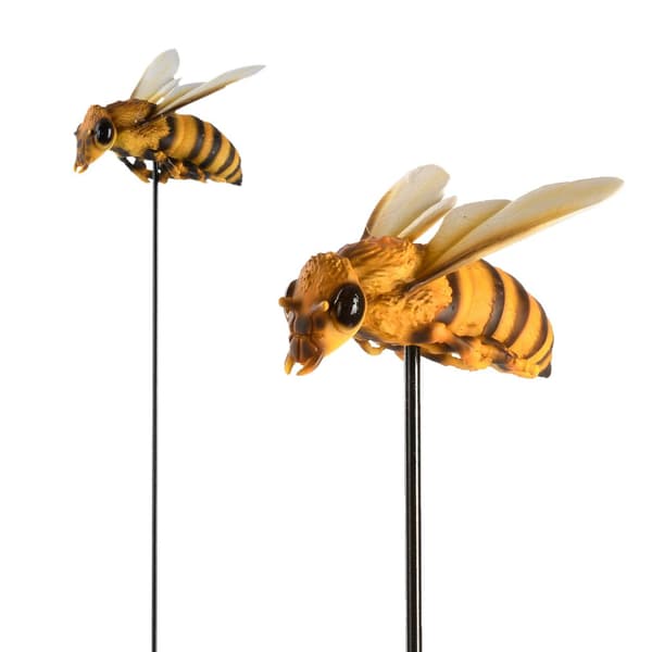 Bi på top højde 78,4 cm