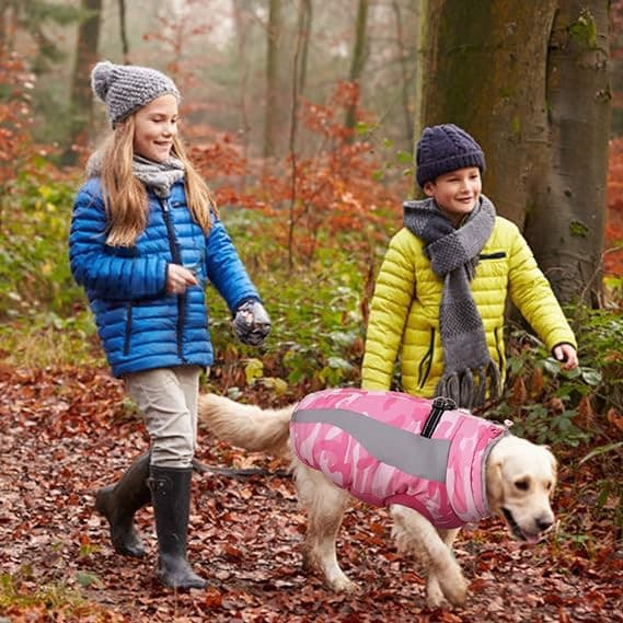 Hundjacka Vattentät Isolerad 3XL