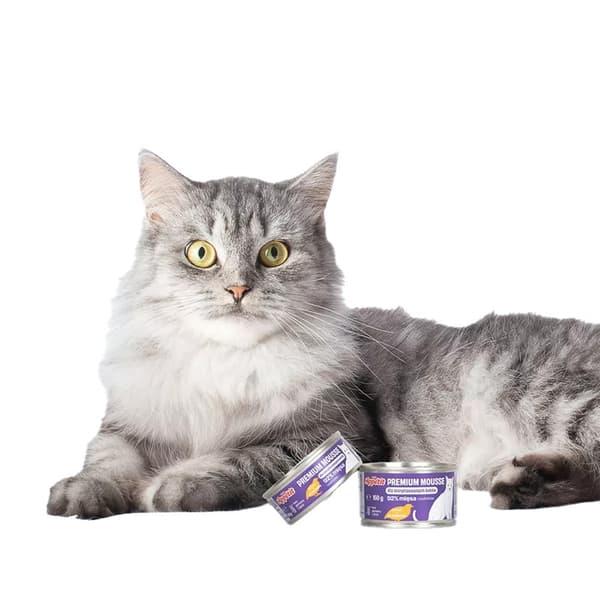 Comfy Appetit Premium Mousse Steriliserad Vaktel 85g - Kattmat