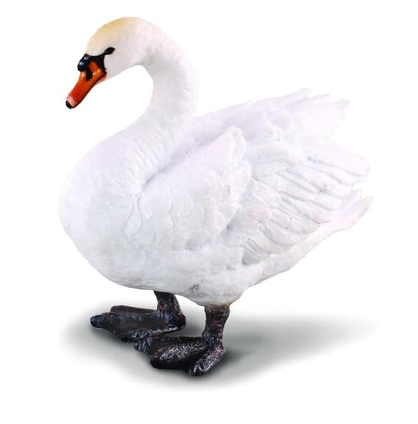 Knopsvane