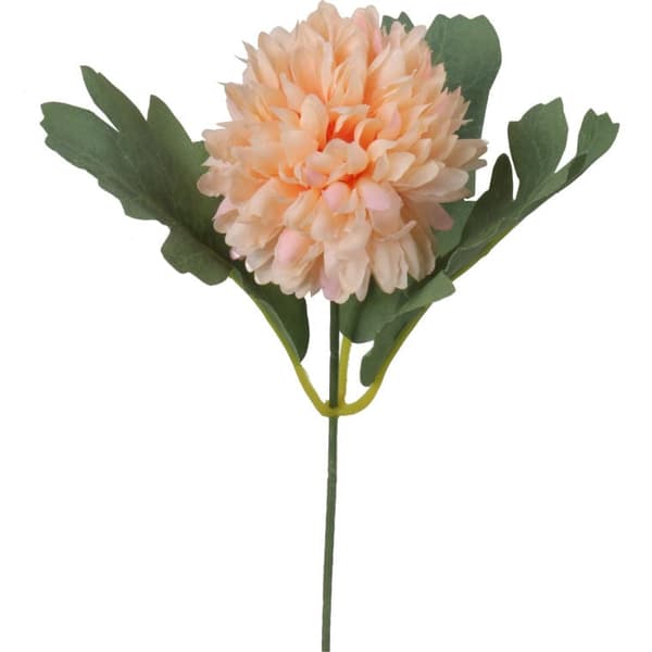 Oksa oranssia tuplavalkosipulia