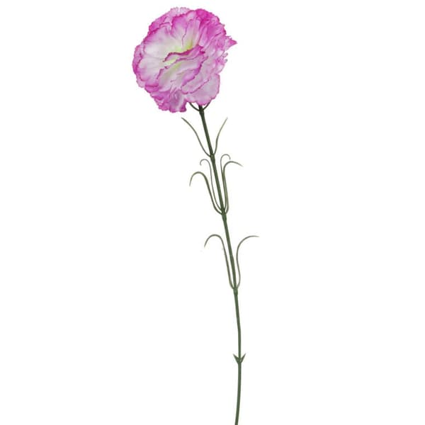 Enkelt lilla nellike 46 cm