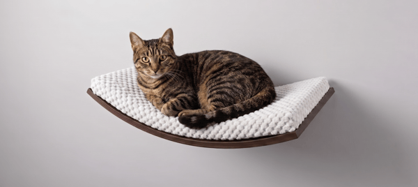 Arc træhylde til katte 60 cm lys sølvgrå