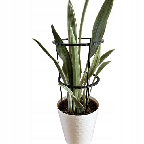 Støttering til blomsterplanter Klemme Støttering S 33x18cm
