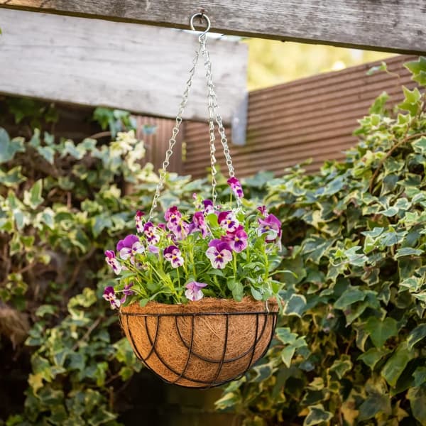 Hängande blomkruka med kokosnöt, 30 cm