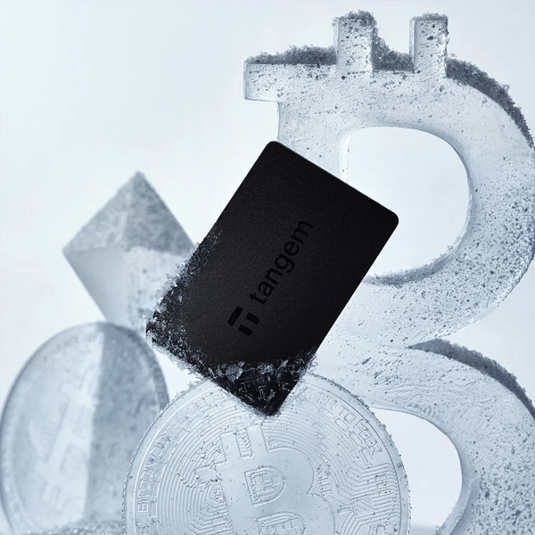 Tangem Card Wallet 2.0 Sort - sæt med 2 kort