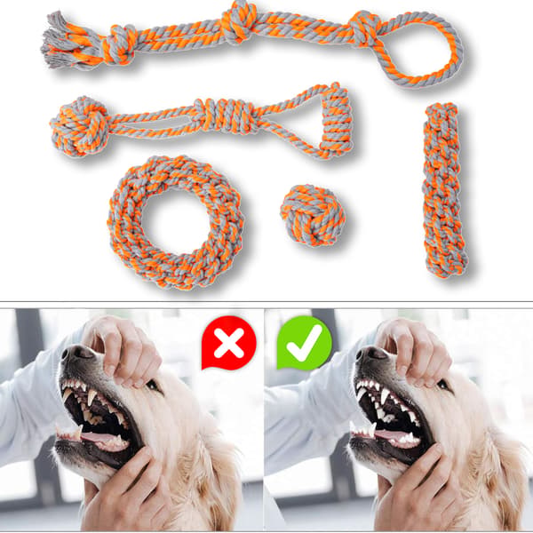 SPANKY hundetræksæt 5 dele