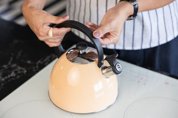 BRILLO KEDEL I RUSTFRIT STÅL 2,5L PEACH