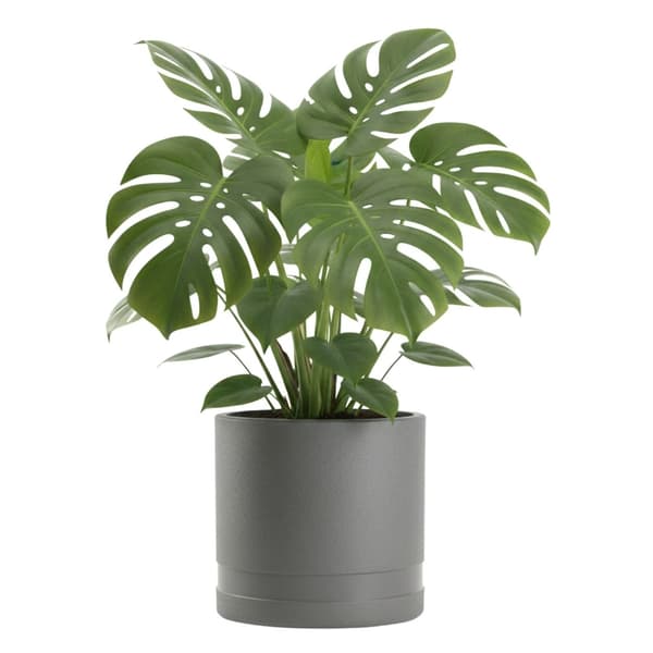 Set med Luna blomkrukor, cylinderformade, antracit, 3 st.
