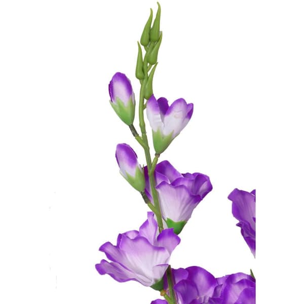 Buket med 5 lilla gladioler, 60 cm høje