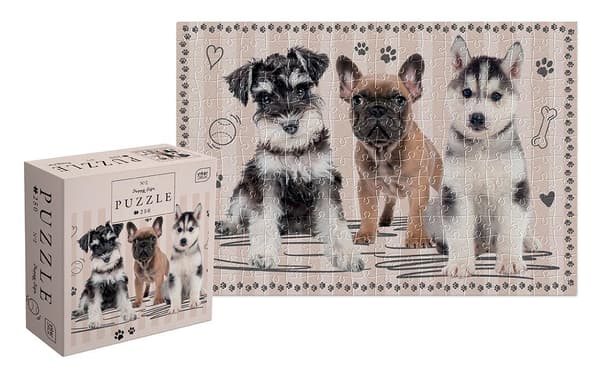 Puzzle 250 Pentukyltti 2