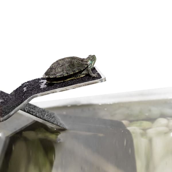 Repti-Zoo Rampe + Skildpaddeø M