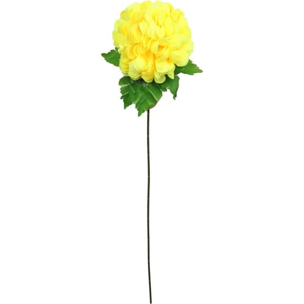 Krysantemum bollformad blomma i gult