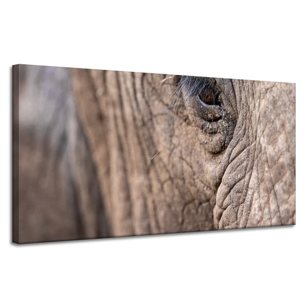 Lærredstryk Dyr Elefantøje 120x60 cm