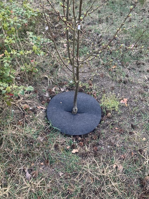 Filtskive til ukrudtsbeskyttelse, bioklip, grå, diameter 40 cm