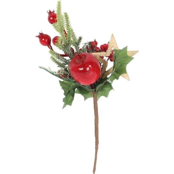 RÅ ASK OG ÆBLESPIKE 22 CM RØD