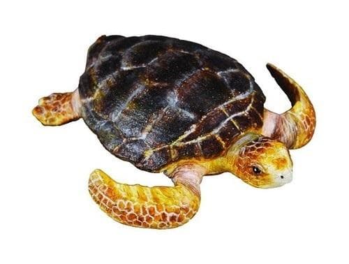 Tumppikilpikonna