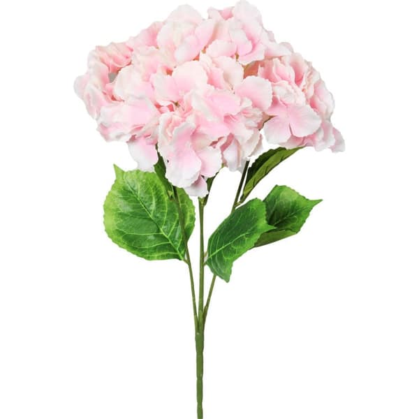 Bukett med 5 rosa hortensior