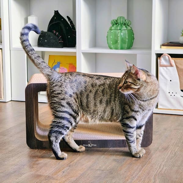 Rektangulär klösbräda för katt XL | brun | 53x28x30 cm | Mruu&Pruu
