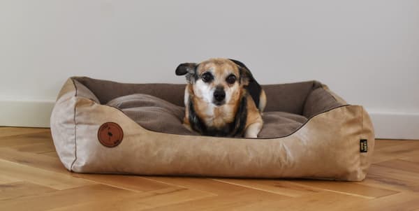 CEZAR sofa, sand, M - 80 cm x 70 cm
