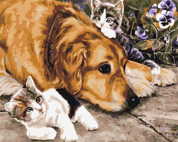 Målning med siffror - 30x40cm Hund/katt