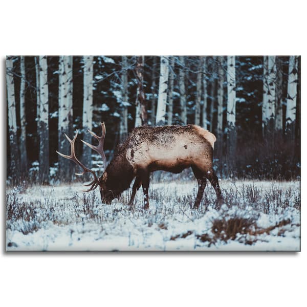 Lærredstryk Dyr Canadisk hjort 120x80