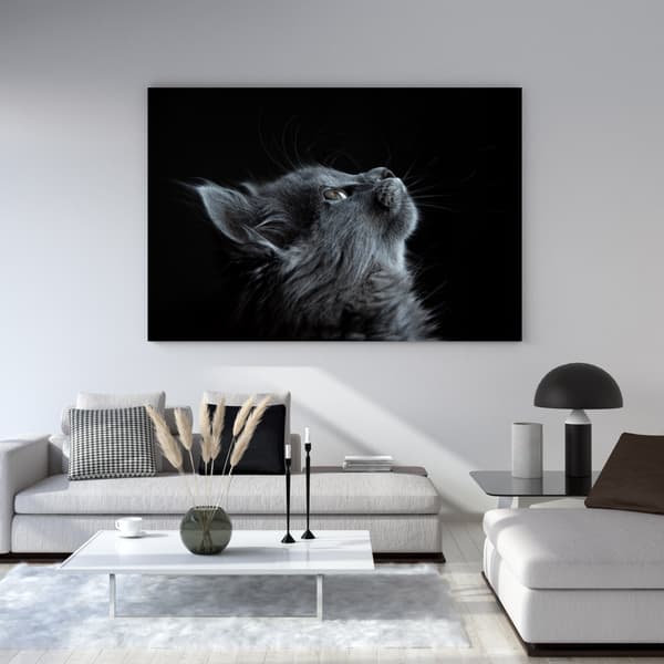 Lærredstryk Dyr Perserkat 40x30 cm