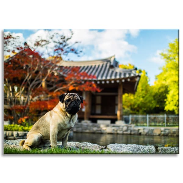 Lærredstryk Dyr Mops Hund 70x50 cm