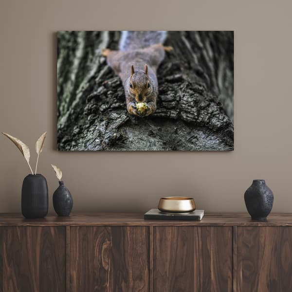 Lærredstryk Dyr Egern Træ 40x30