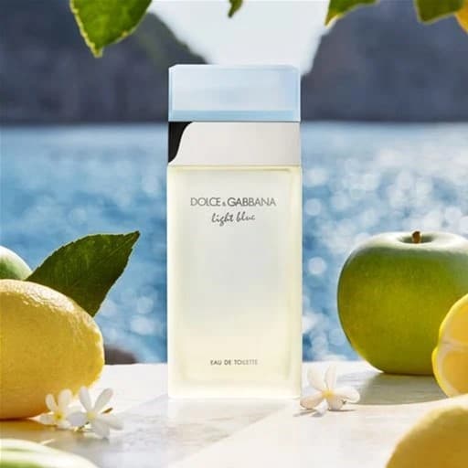 Dolce & Gabbana Light Blue Eau de Toilette til kvinder 100 ml
