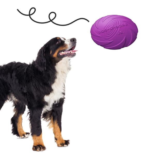 Pet Nova legetøj - gummifrisbee-skive lilla 22 cm
