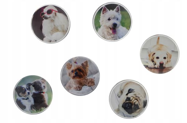 MAGNETER TIL GLASTAVLE 30/6 HUND 4787