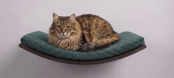 Trähylla för katter Arc 60cm Flaskgrön