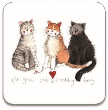 3 katte-coaster