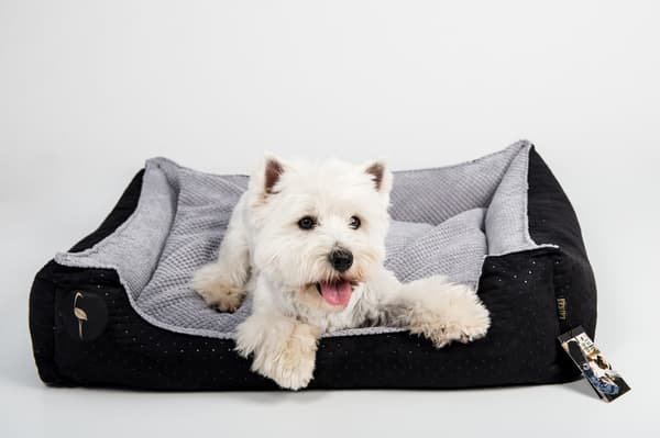 CEZAR sofa, sort, quiltet, M - 80 cm x 70 cm