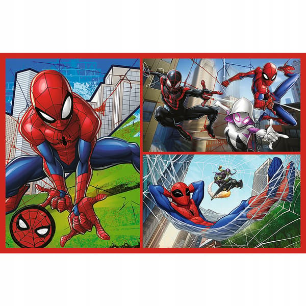 PUSSEL 2X70 SPIDER STORIES 34443