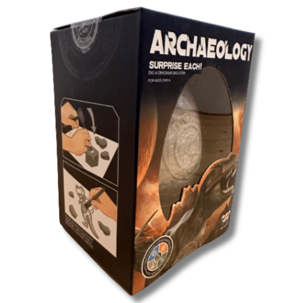DINOSAURIEÄGG FOSSIL 6 MÖNSTER