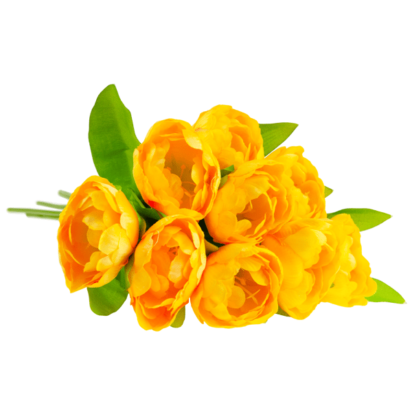 CV31227-3 TULIPANERBUKET X7
