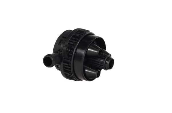 FT04330 SNABB EMPH