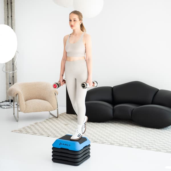 Aerobic step Mini AS001 COMMERCIAL HMS