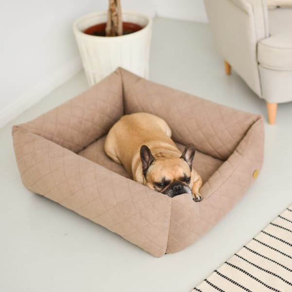 COZY fløjlsseng - størrelse M beige