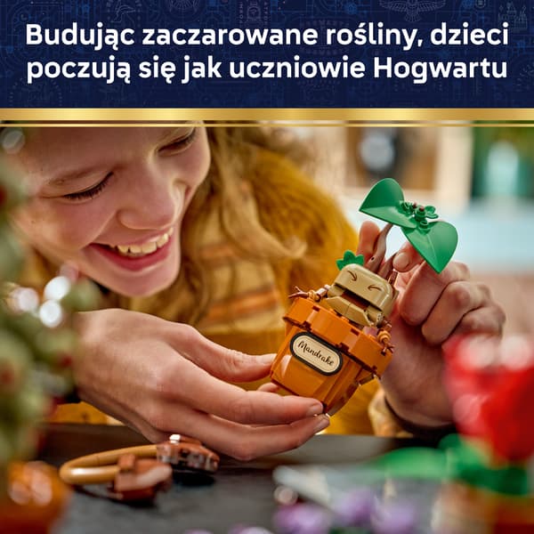 LEGO Harry Potter Hogwarts Urteplanter 817 dele sæt (76474)
