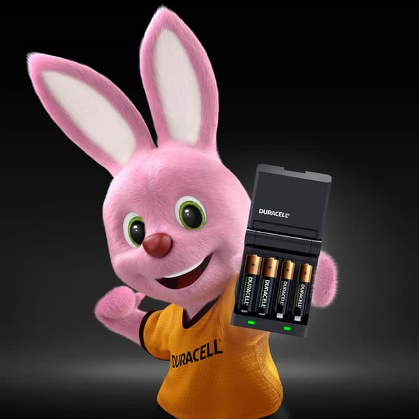 Duracell CEF 27+ AA 1300+ AAA 750 oplader